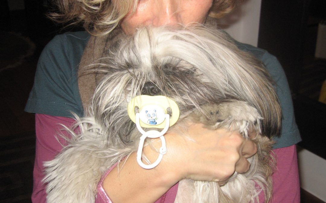 osytocyna, pupile, neurohormon