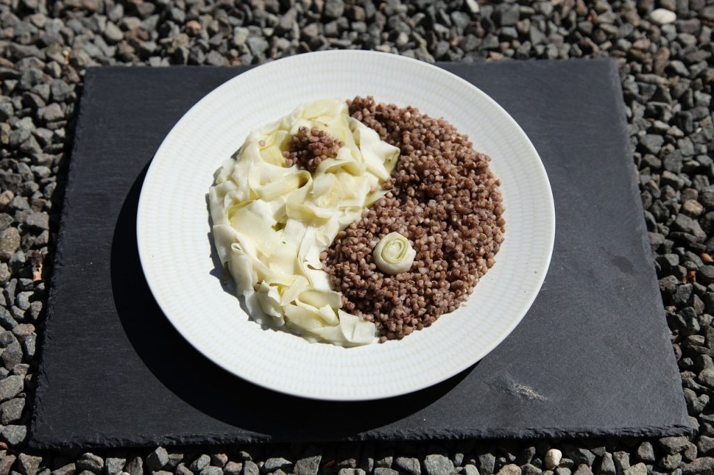 TAO odpornosc dieta DOJO