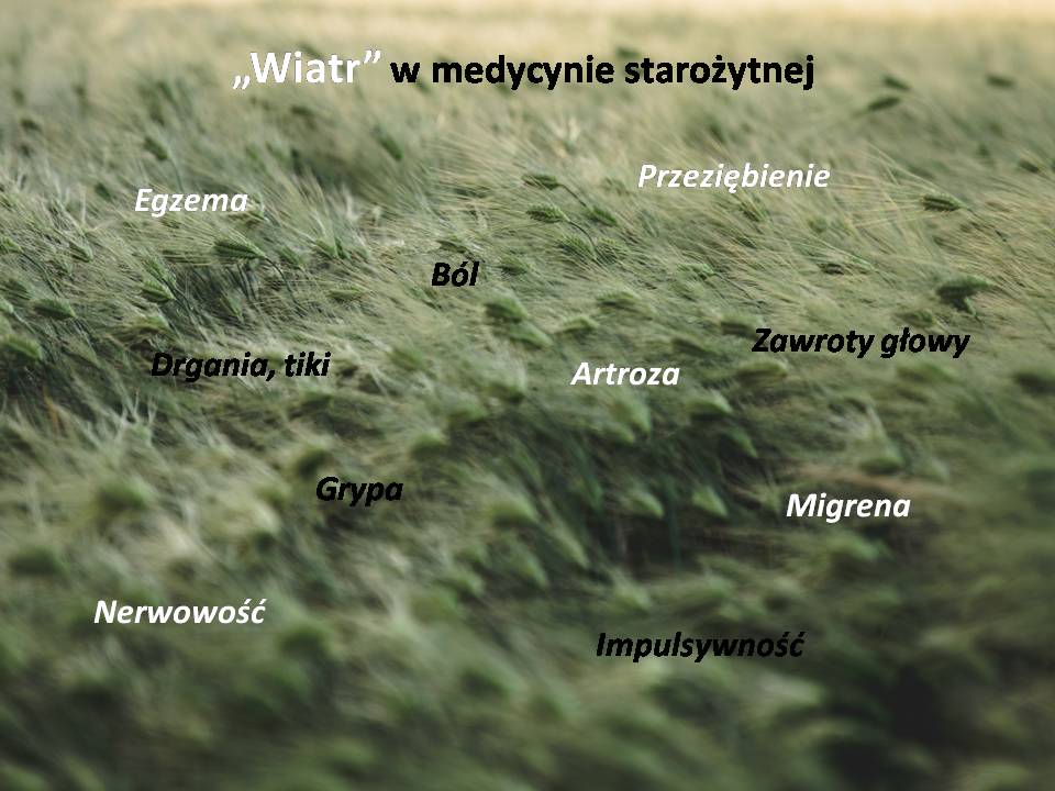 TAO, wiatr,  grypa, odporność